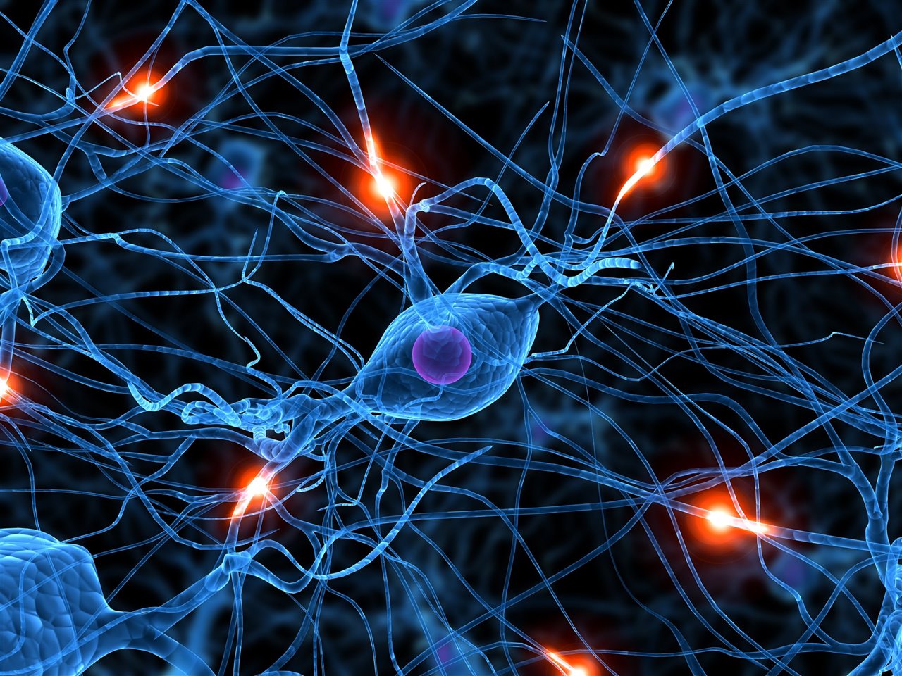 sinapsis de arbol de neuronas